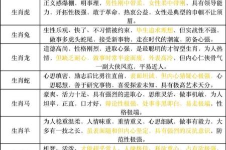 91年属什么生肖配对