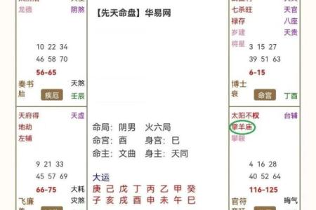 紫薇斗数官方网