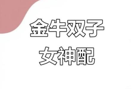 白羊金牛座配对