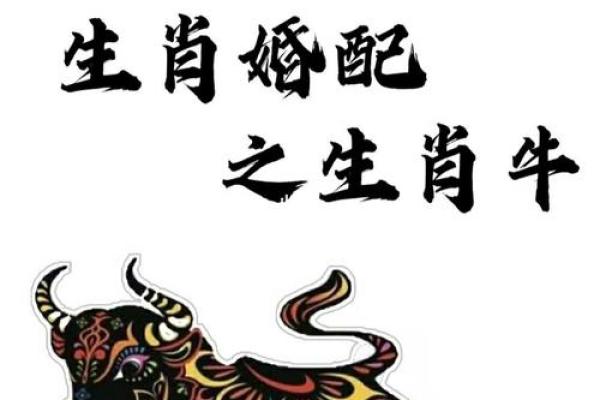 属牛人婚姻配对