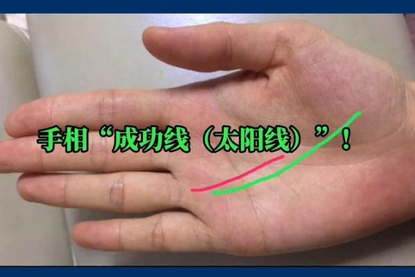 《手相学习百科》：太阳线