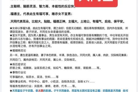 天墨紫薇斗数