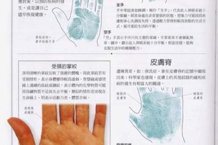 《手相学习百科》：指尖与指节