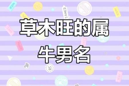 农历四月牛宝宝名字大全,温暖有朝气的男孩女孩名字姓名