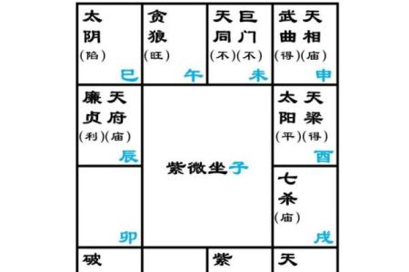 紫薇斗数主星性质：廉贞，天府，贪狼，巨门