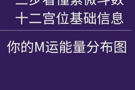 紫薇斗数怎么看主宫