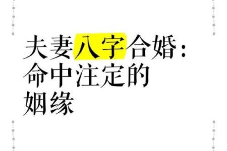 婚配八字配对