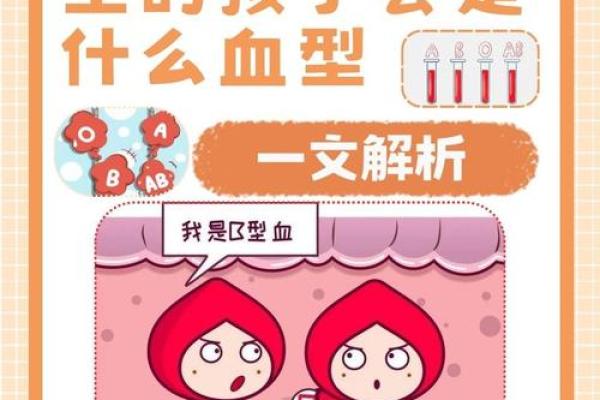 各血型能生出什么血型BB