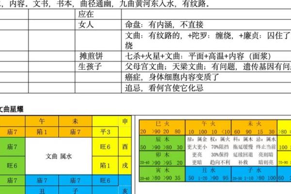 紫薇斗数文曲