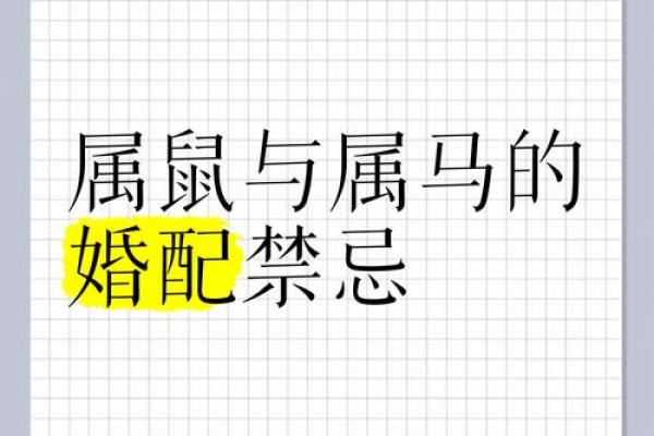 属鼠的女人和什么属相最配对 属鼠的女人和什么属相最配婚姻