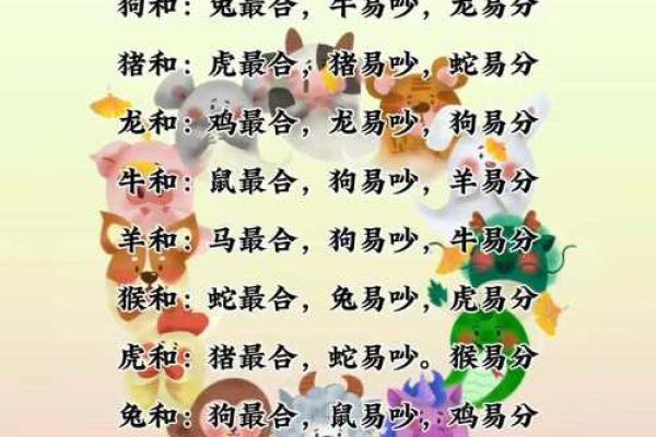 12生肖婚配属相配对查询，生肖配对查询表