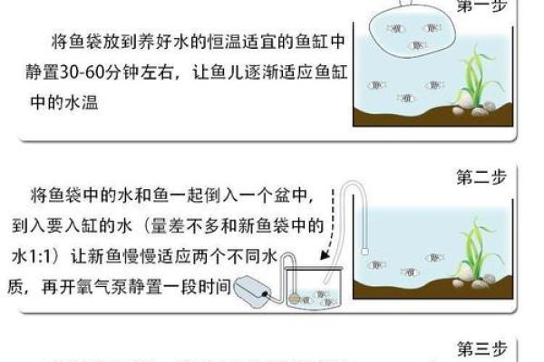 属鸡的家里养什么样子的风水鱼好？