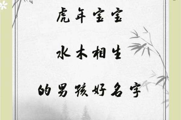 2019年处暑出生缺木男孩名字赏析姓名