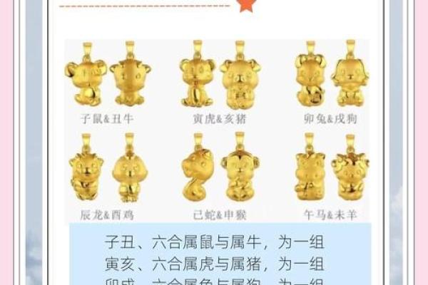 63年属什么生肖配对