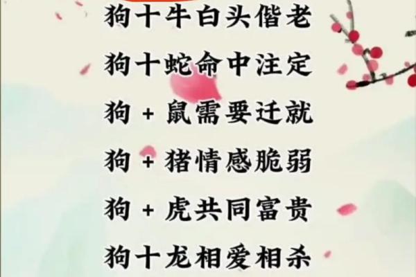 七九年属什么生肖配对