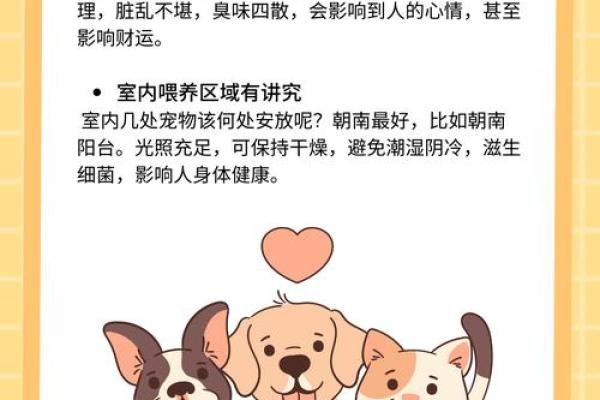 养宠物也是要讲究风水的