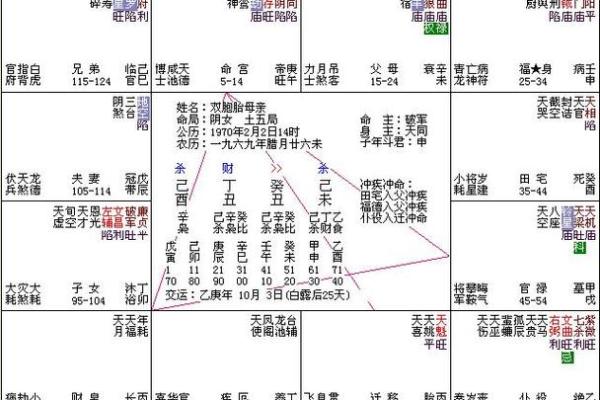 紫薇斗数排盘免费测试