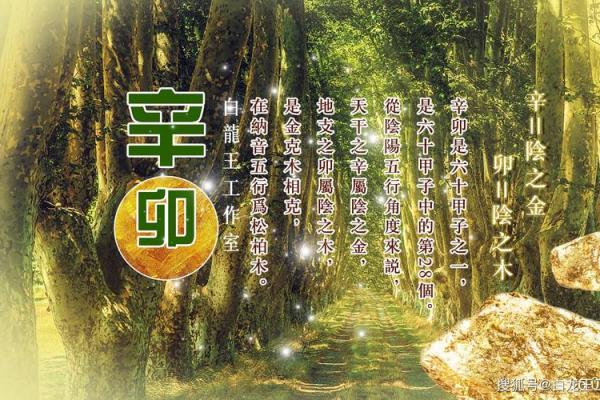 【八字日坐沐浴】看清人生运势，大有玄机！