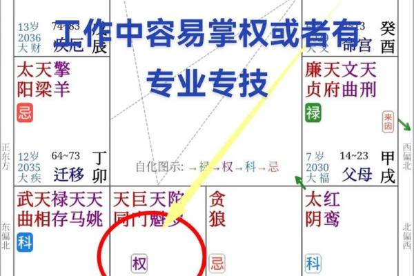 男女都怕入错行！紫薇斗数官禄宫看终身适合的职业