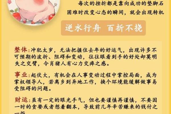 属相猪的性格特点及其与其他属相的配对
