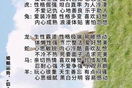 十二生肖属相及性格特点介绍及配对优劣分析