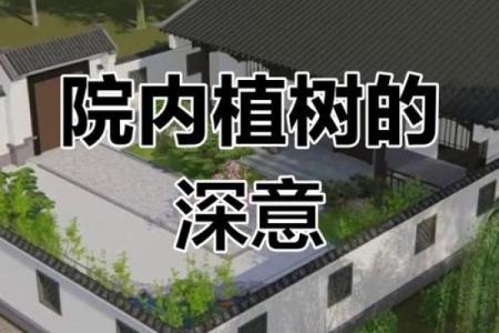 大门正确栽树方位，农村大门口栽树有讲究吗？