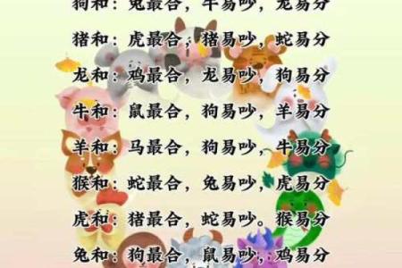 1994年属什么生肖配对最好