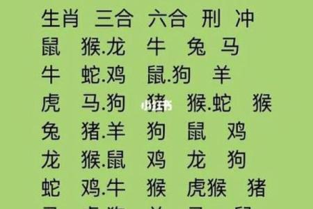 七九年属什么生肖配对