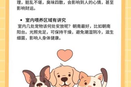 养宠物也是要讲究风水的