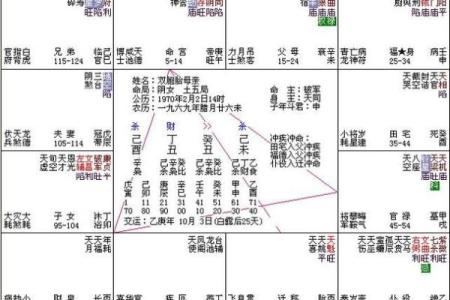 紫薇斗数排盘免费测试