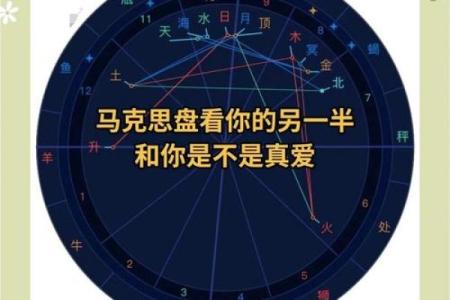 配对盘怎么看,配对盘解读