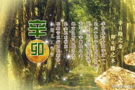 【八字日坐沐浴】看清人生运势，大有玄机！
