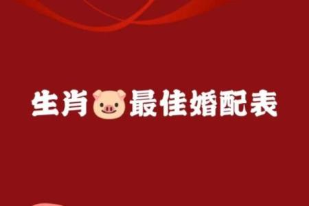 属相猪的性格特点及其与其他属相的配对