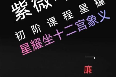 紫薇斗数吧美女