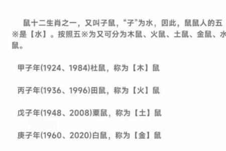 八字都有什么