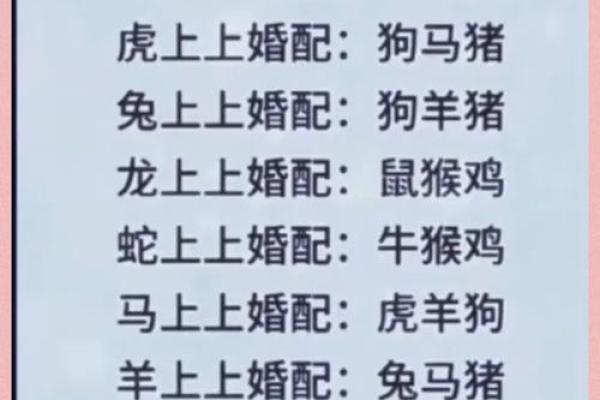 最佳的十二生肖婚姻配对大全