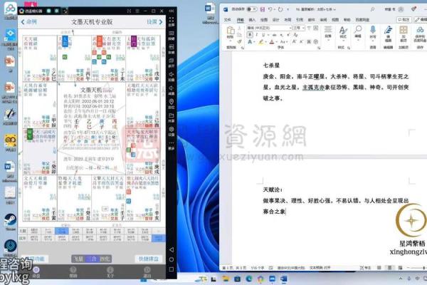 电脑紫薇斗数软件