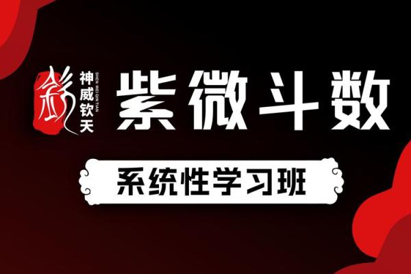 电脑紫薇斗数软件