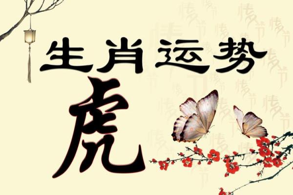 生肖风水_什么生肖做生意的人最多