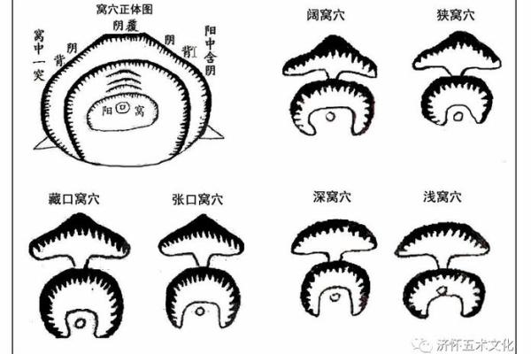 墓地风水的穴位怎么找