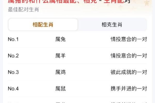 72年属什么生肖配对