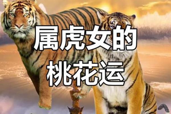 95猪男和98年虎女结婚吉日