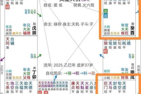 天机紫微斗数app 天机紫微斗数app下载？