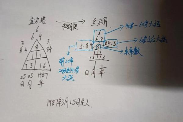生命灵数5和几配对