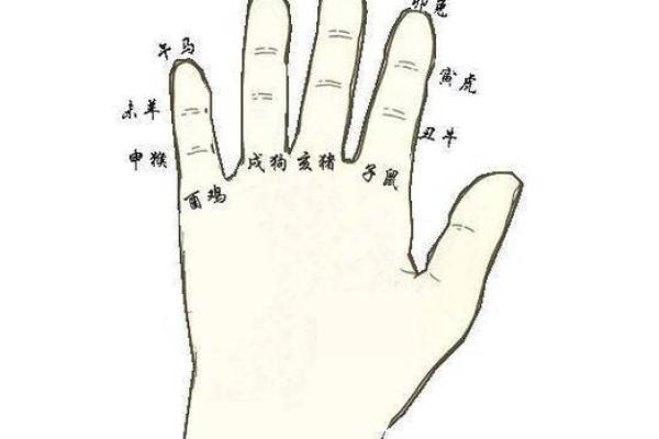 十指指纹算命看你命运吉凶，最全最具体最准