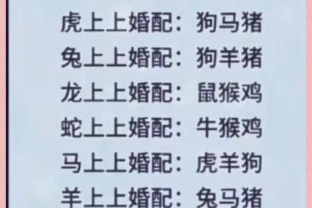 最佳的十二生肖婚姻配对大全