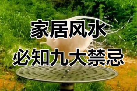 风水禁忌不注意会影响家庭发展