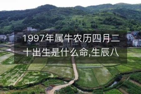 属牛出生最好六个吉日 属牛的出生吉日