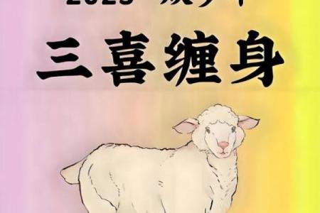 晚上出生的属羊男孩应该如何起名，宜用什么字姓名