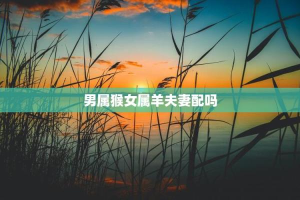 12生肖最佳夫妻配对男羊婚配 男生肖羊配什么生肖最好
